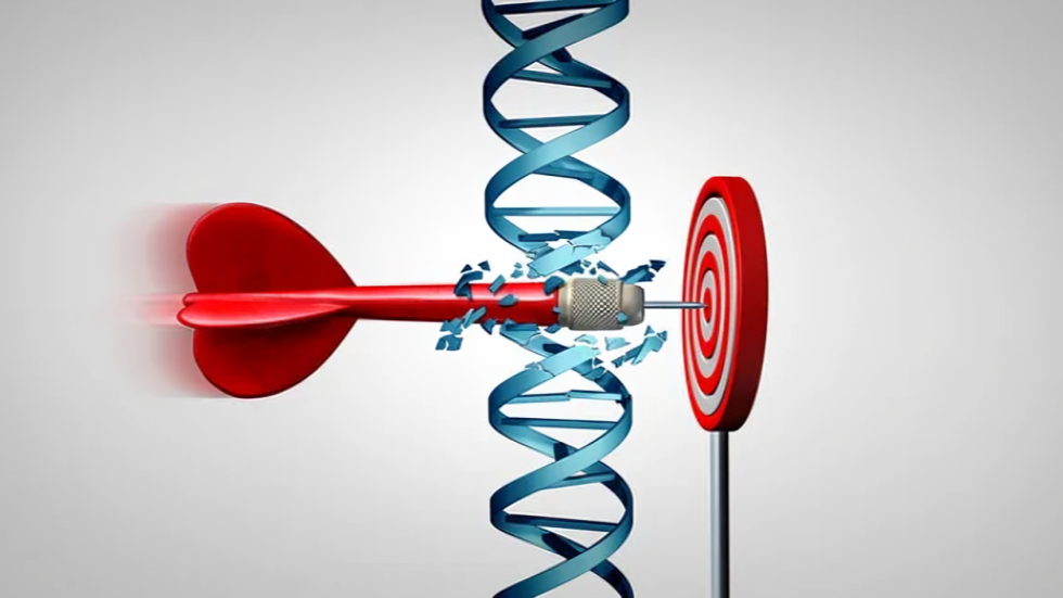 New Clinical Trial Explores WRN Helicase Inhibitor MOMA-341 in GI Cancers Resistant to Immunotherapy