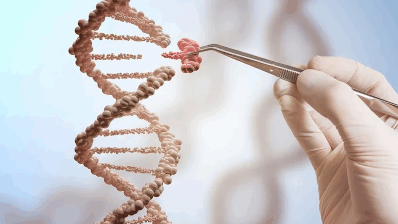 Wolfgang Miesbach: CRISPR’s Hidden Danger – Precision Enhancers May Cause Genomic Chaos