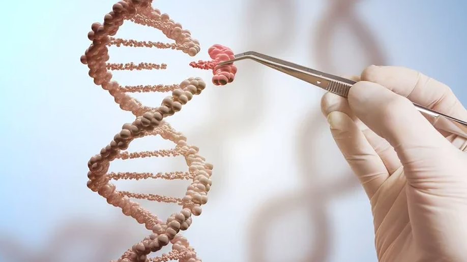 Wolfgang Miesbach: CRISPR’s Hidden Danger – Precision Enhancers May Cause Genomic Chaos