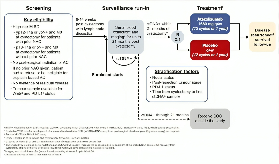 imvigor011 trial design