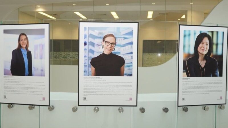 The Faces of Discovery - Peter MacCallum Cancer Centre