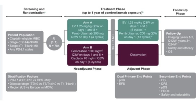 Tom Powles: Opening a New Area for Cis-Ineligible MIBC