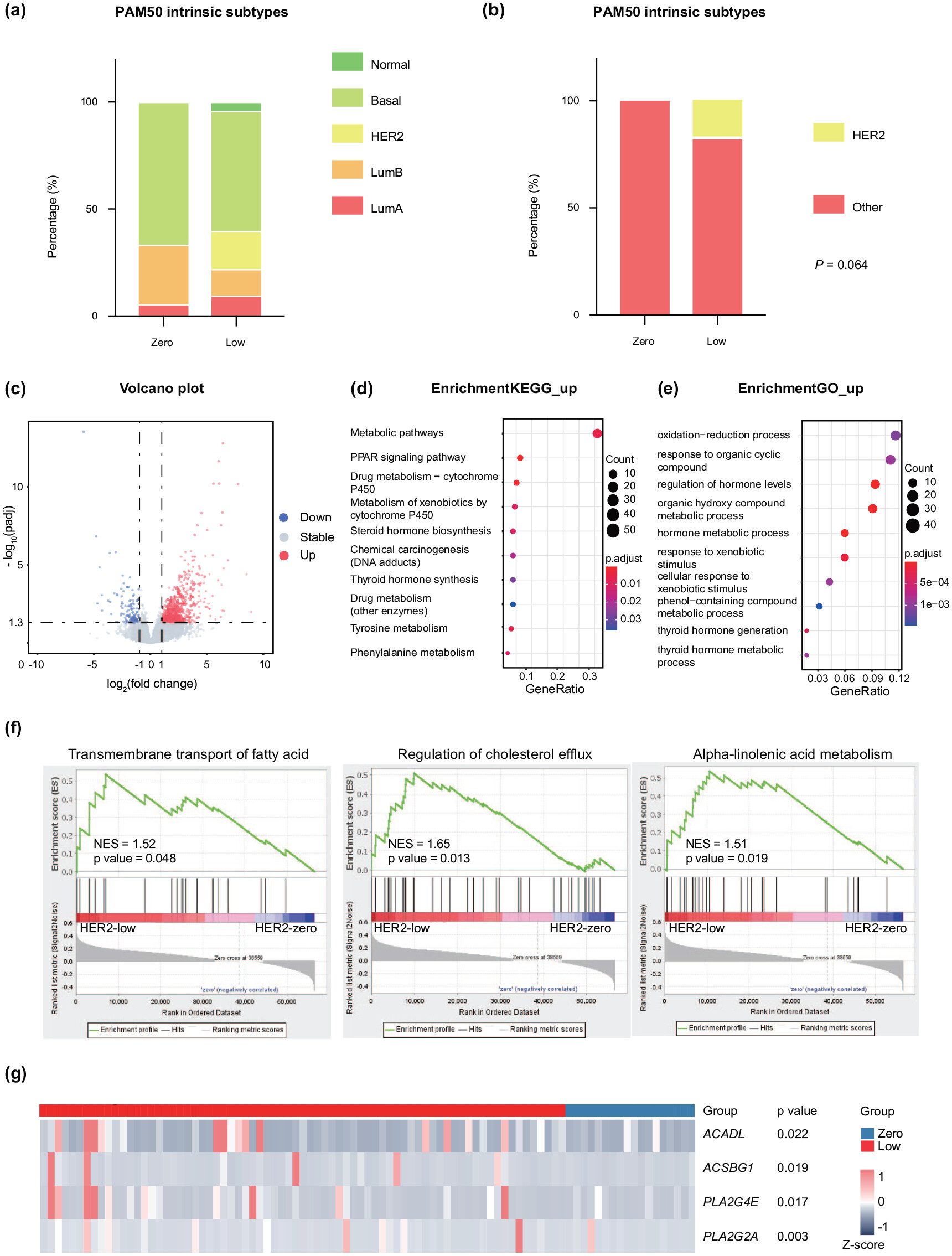HER2-low expression TNBC 