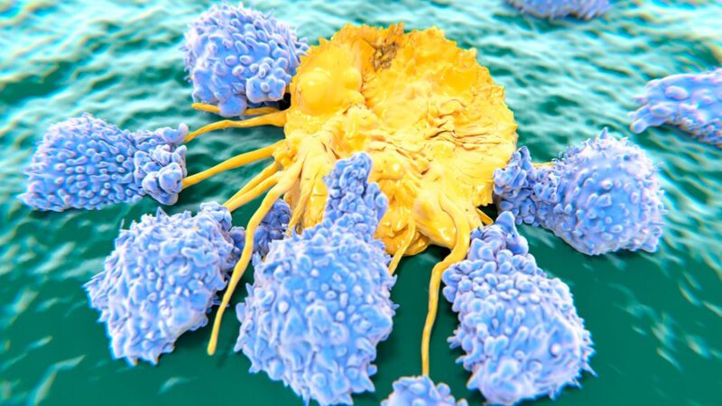 MD Anderson Cancer Center