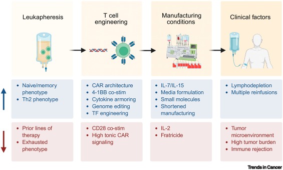 immuno-oncology
