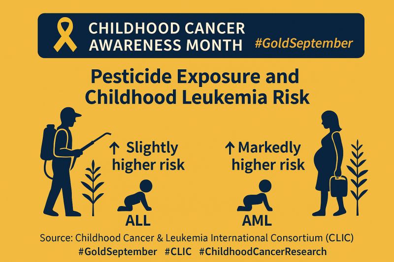 Wafaa M Rashed: Key Research Findings from the Childhood Cancer and CLIC