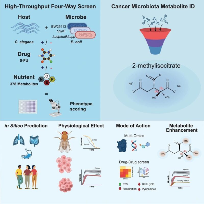 Himanshu Mishra: Chemotherapy Modulation by a Cancer-Associated Microbiota Metabolite