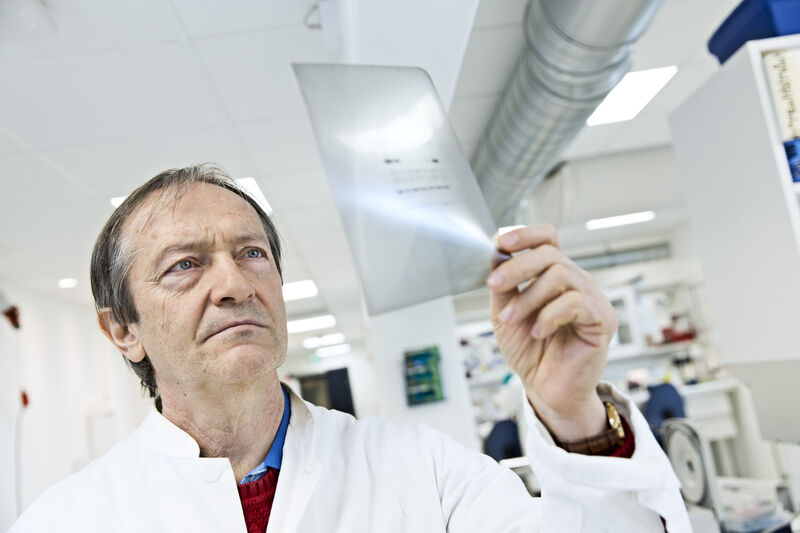 How Cell Cycle Control Safeguards Genome Replication - Danish Cancer Institute