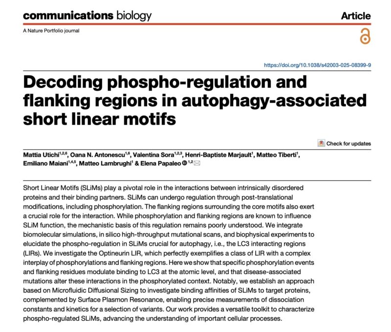 New Insights Into How Phosphorylation Fine-Tunes Autophagy - Danish Cancer Institute