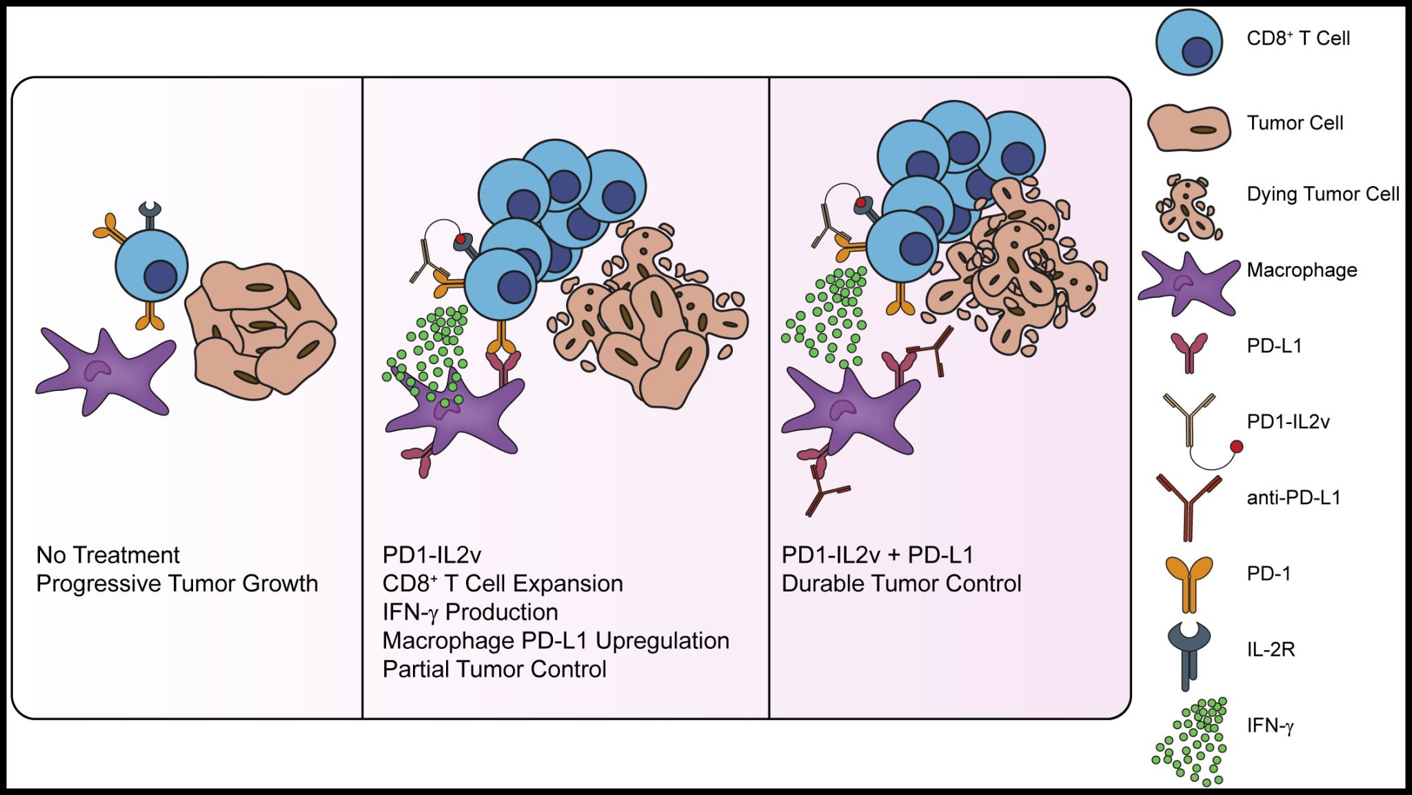 10 Must-Read Posts in Immuno-Oncology This Week