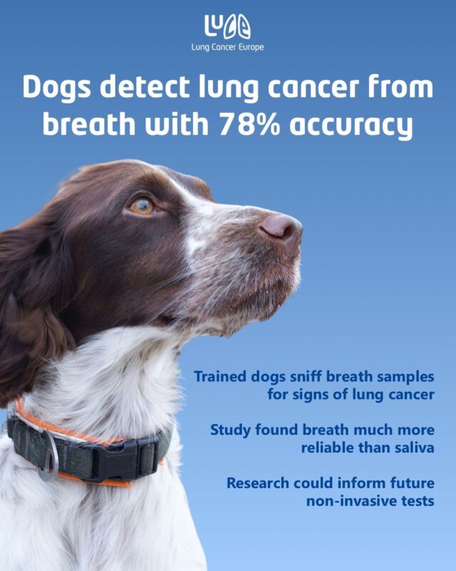Dogs Can Detect Lung Cancer from Breath with 78% Accuracy - Lung Cancer Europe