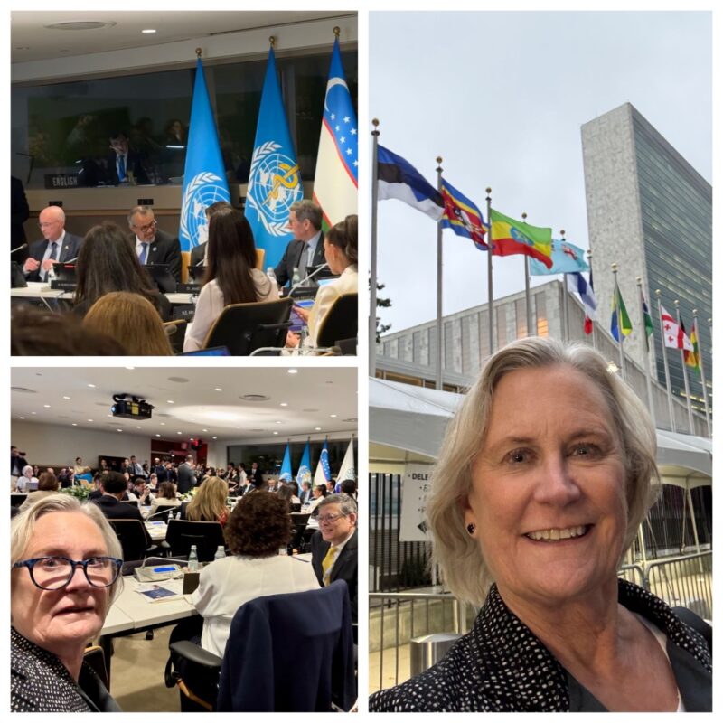 Julie Gralow: High-Level Meeting on Non-Communicable Diseases and Mental Health