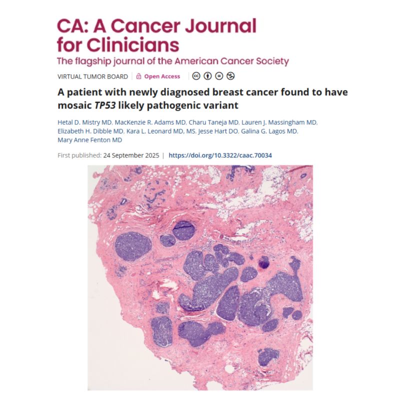 New Virtual Tumor Board Highlights Patient Perspective in Breast Cancer Case - ACS Journals