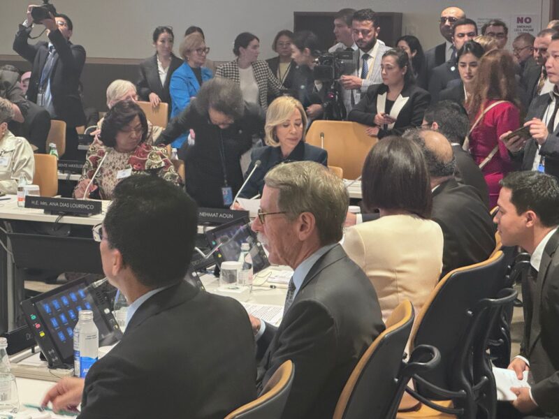 Elizabeth Whittington: Grateful to Witness St. Jude’s Global Mission at the United Nations