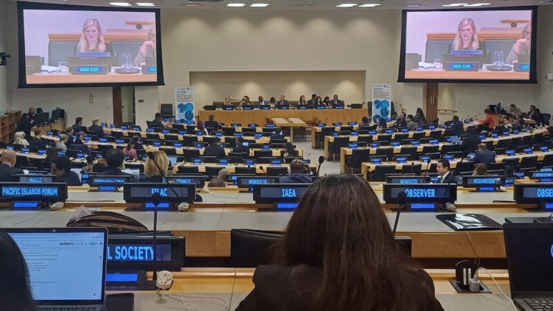 UNGA 80: Highlights from the Fourth High-Level Meeting on NCDs and Mental Health