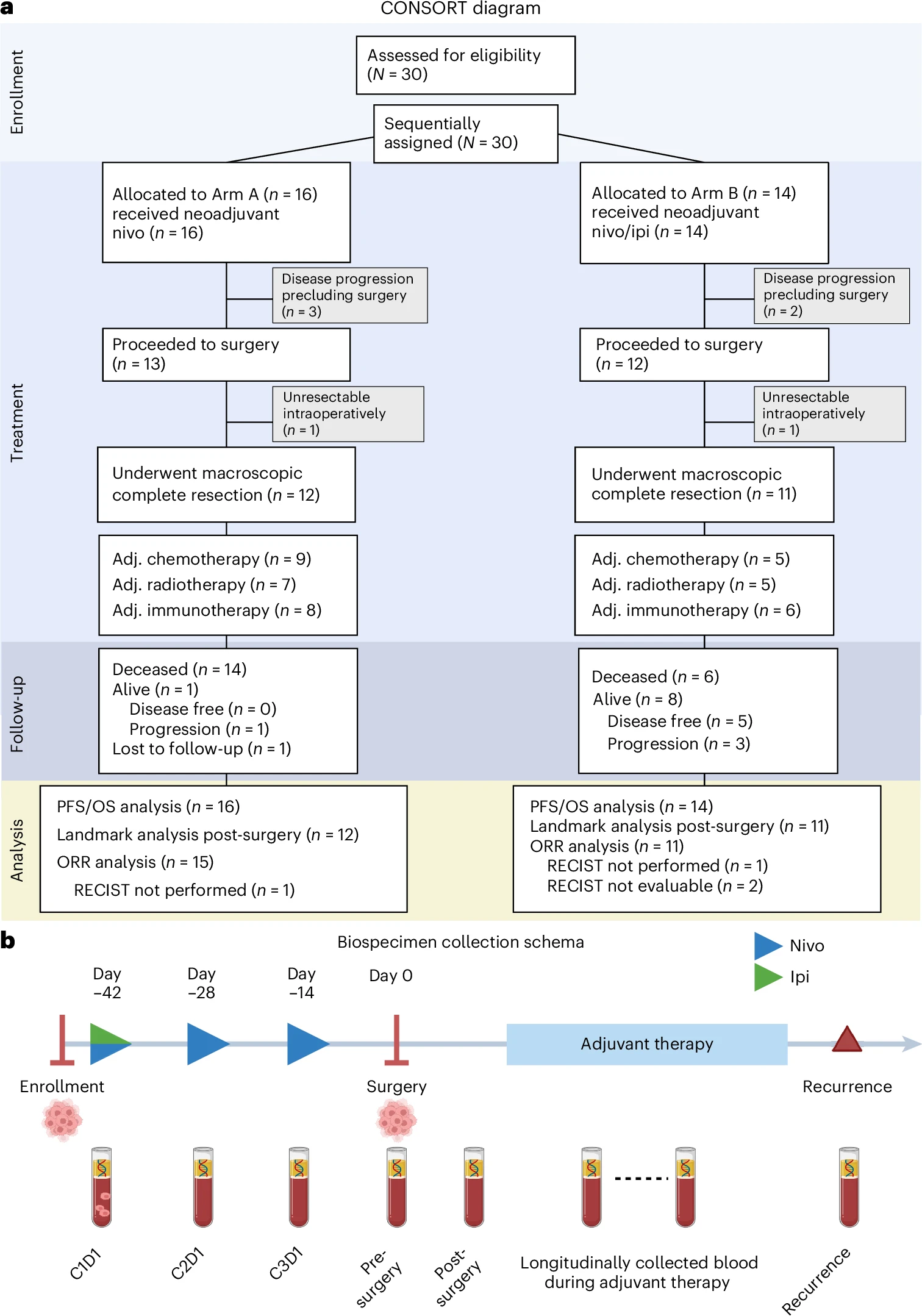 Pleural Mesothelioma