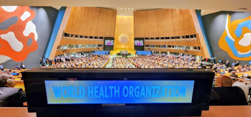 UNGA 80: Highlights from the Fourth High-Level Meeting on NCDs and Mental Health