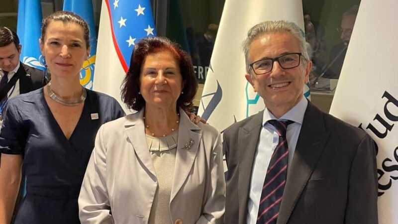 UNGA 80: Highlights from the Fourth High-Level Meeting on NCDs and Mental Health