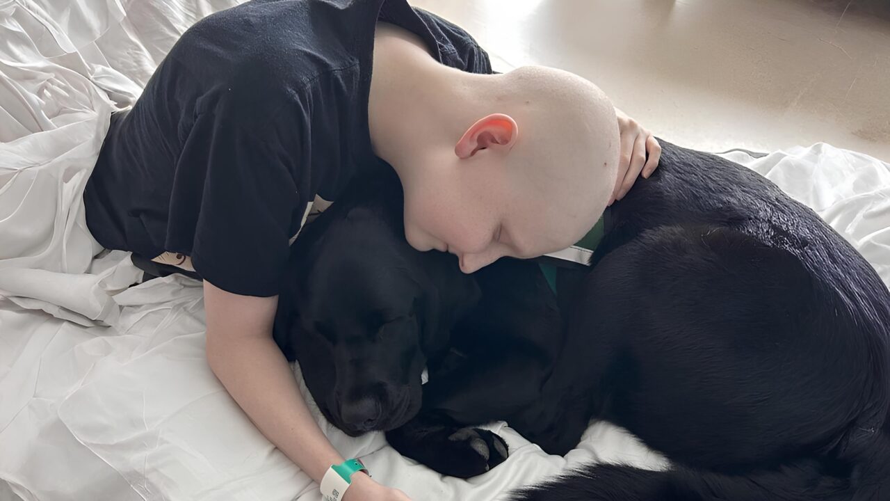 Animal-assisted Therapy for Hospitalized Children – American Cancer Society