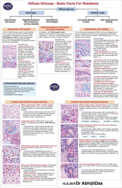 Abhijit Das: Basic Facts For Residents About Diffuse Gliomas