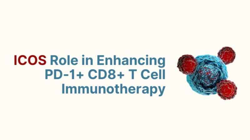 Himanshu Mishra: ICOS Role in Enhancing PD-1+ CD8+ T Cell Immunotherapy