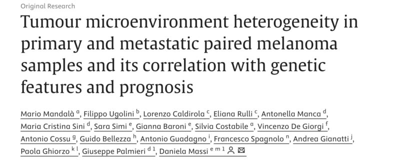 TME Heterogeneity 