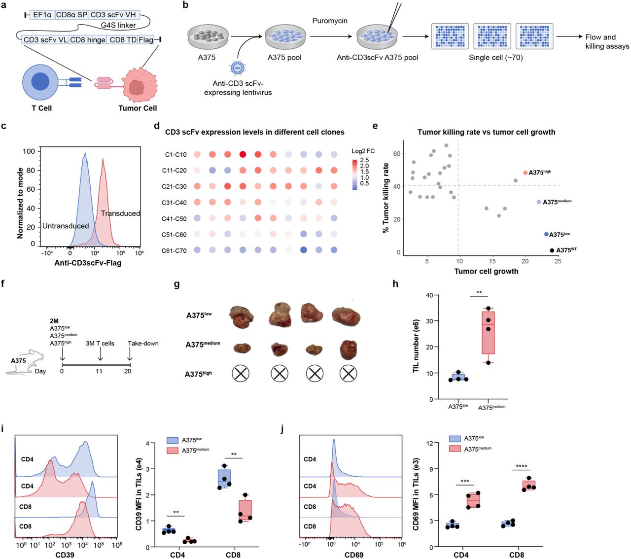 In Vivo Genome-Wide CRISPR Screens in Human T Cells to Enhance T Cell Therapy for Solid Tumors