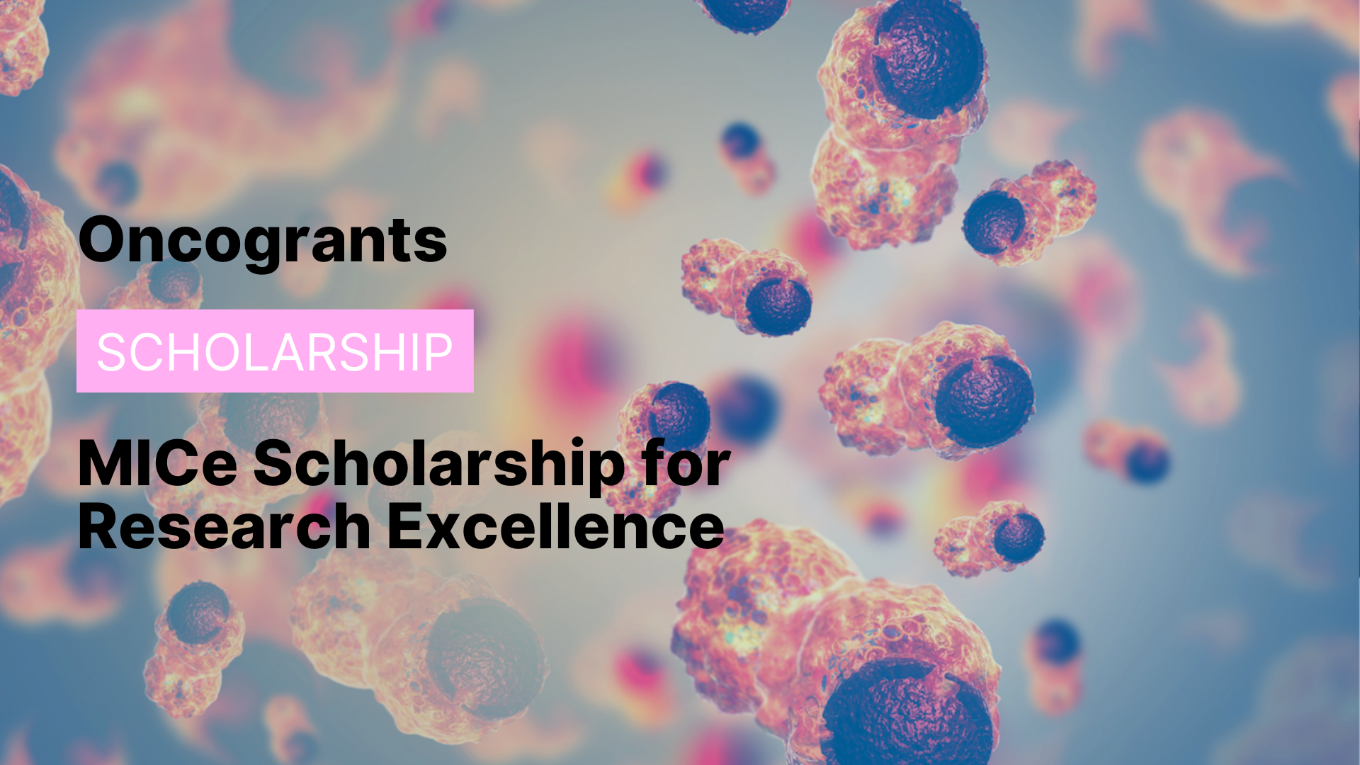 MICe Scholarship for Research Excellence