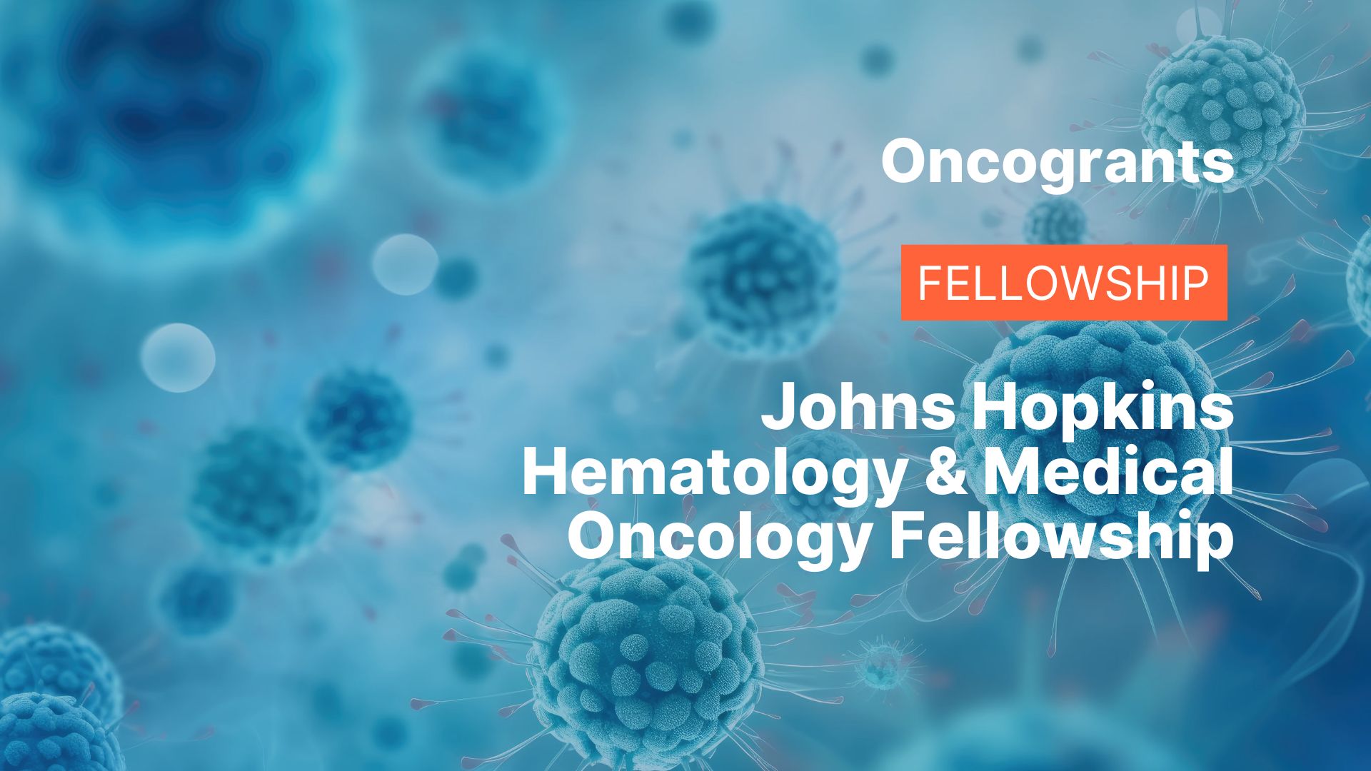 Johns Hopkins Hematology &Medical Oncology Fellowship