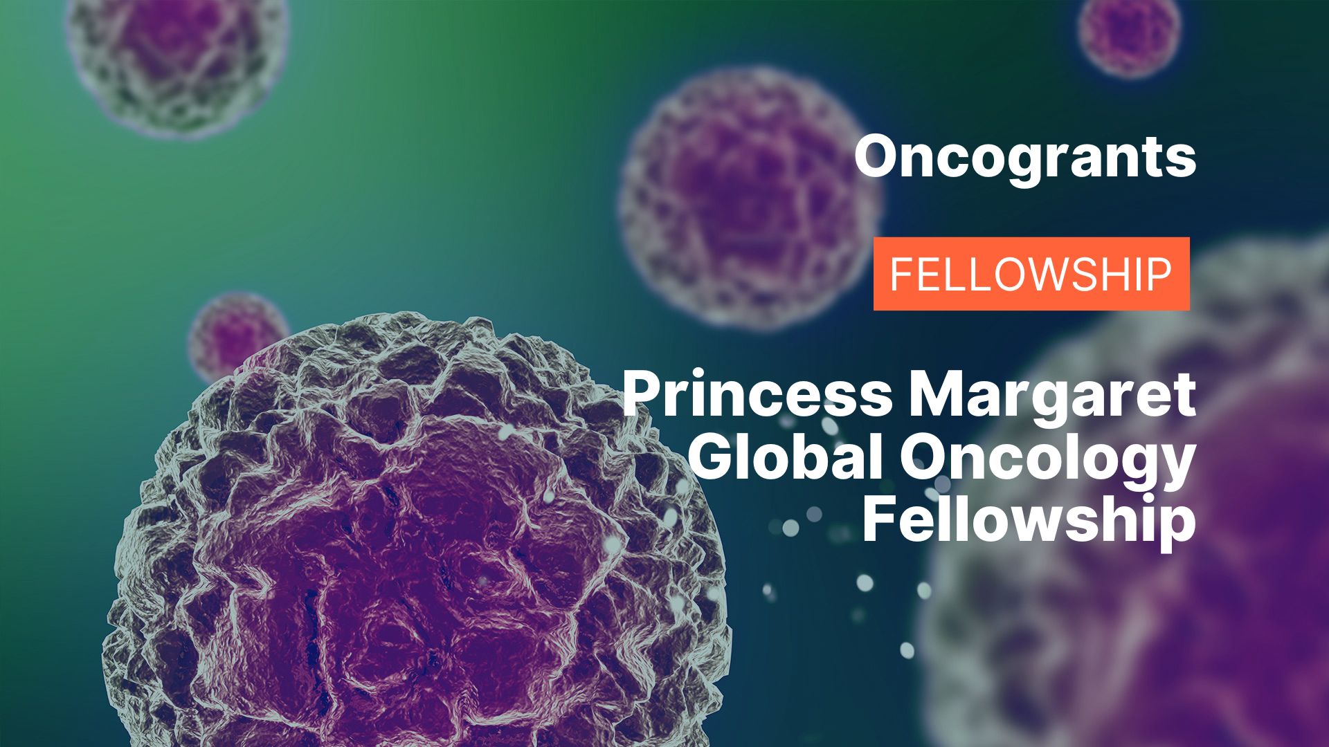 Princess Margaret Global Oncology Fellowship