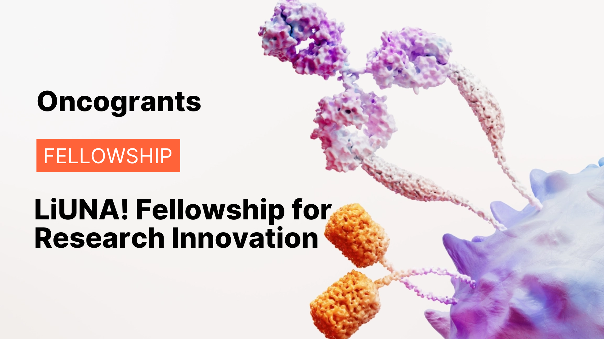 LiUNA! Fellowship for Research Innovation