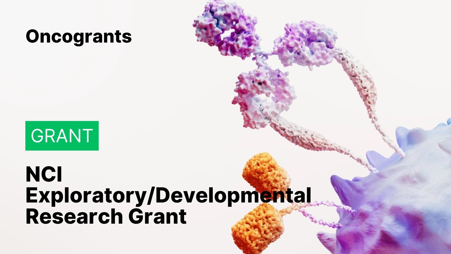 NCI Exploratory/Developmental Research Grant