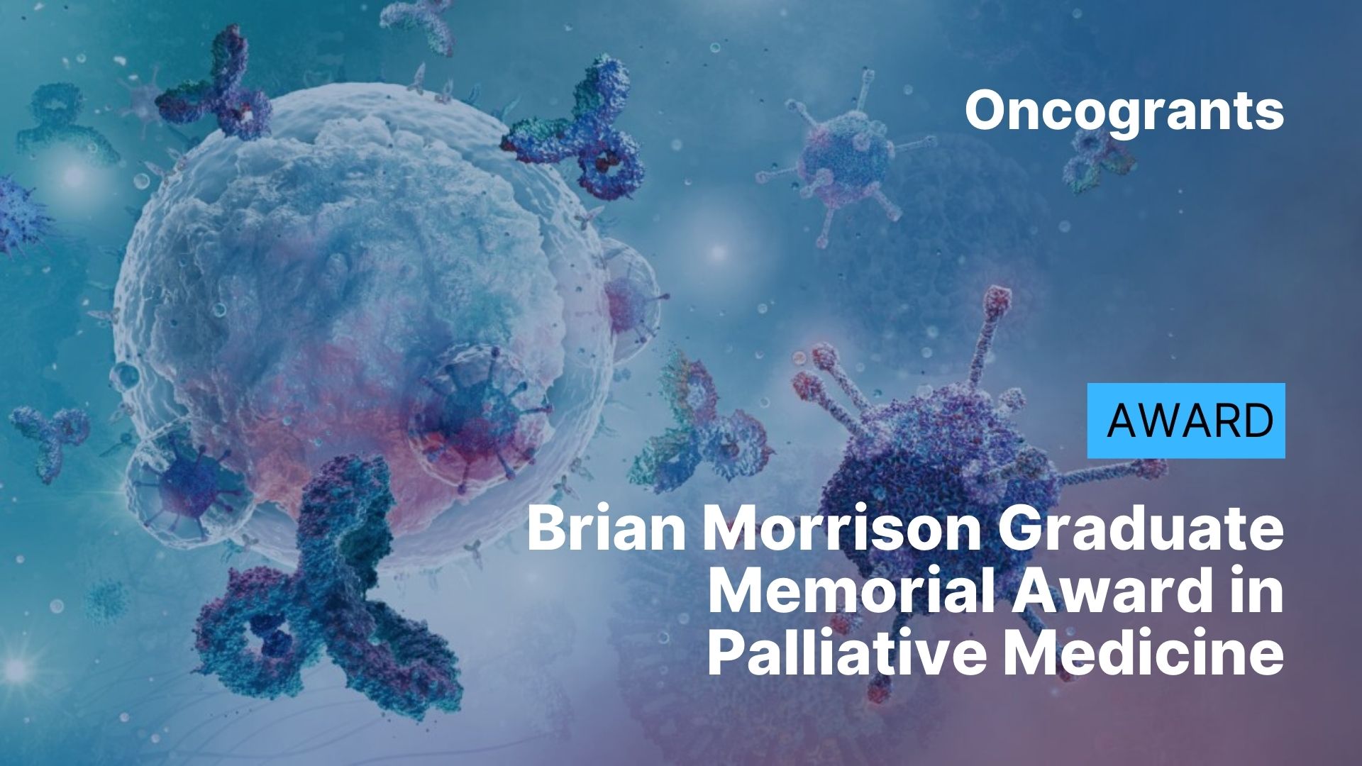 Brian Morrison Graduate Memorial Award in Palliative Medicine