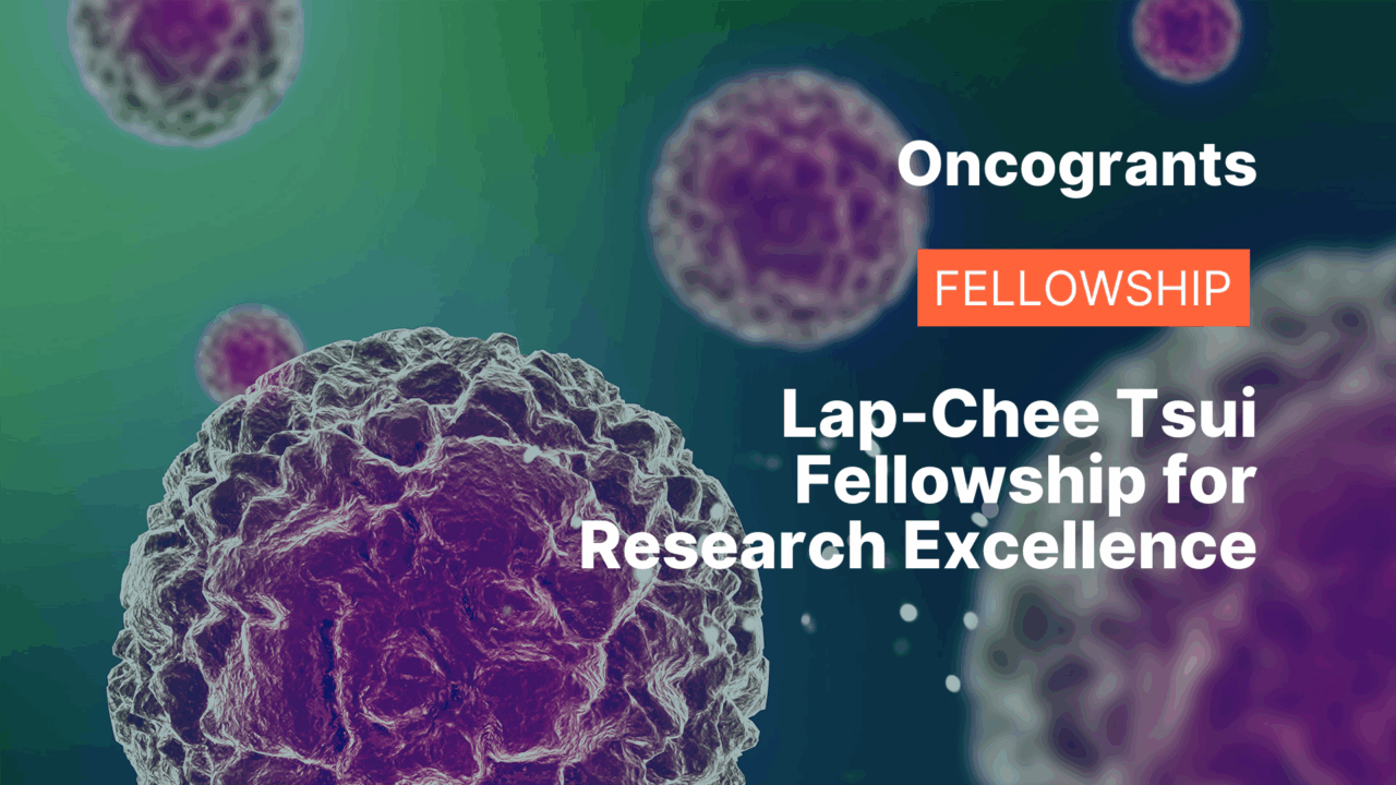 Lap-Chee Tsui Fellowship for Research Excellence