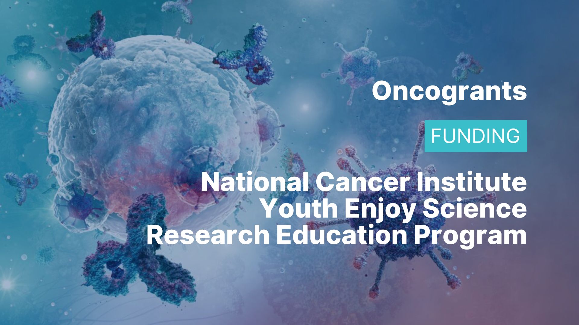 National Cancer Institute Youth Enjoy Science Research Education Program