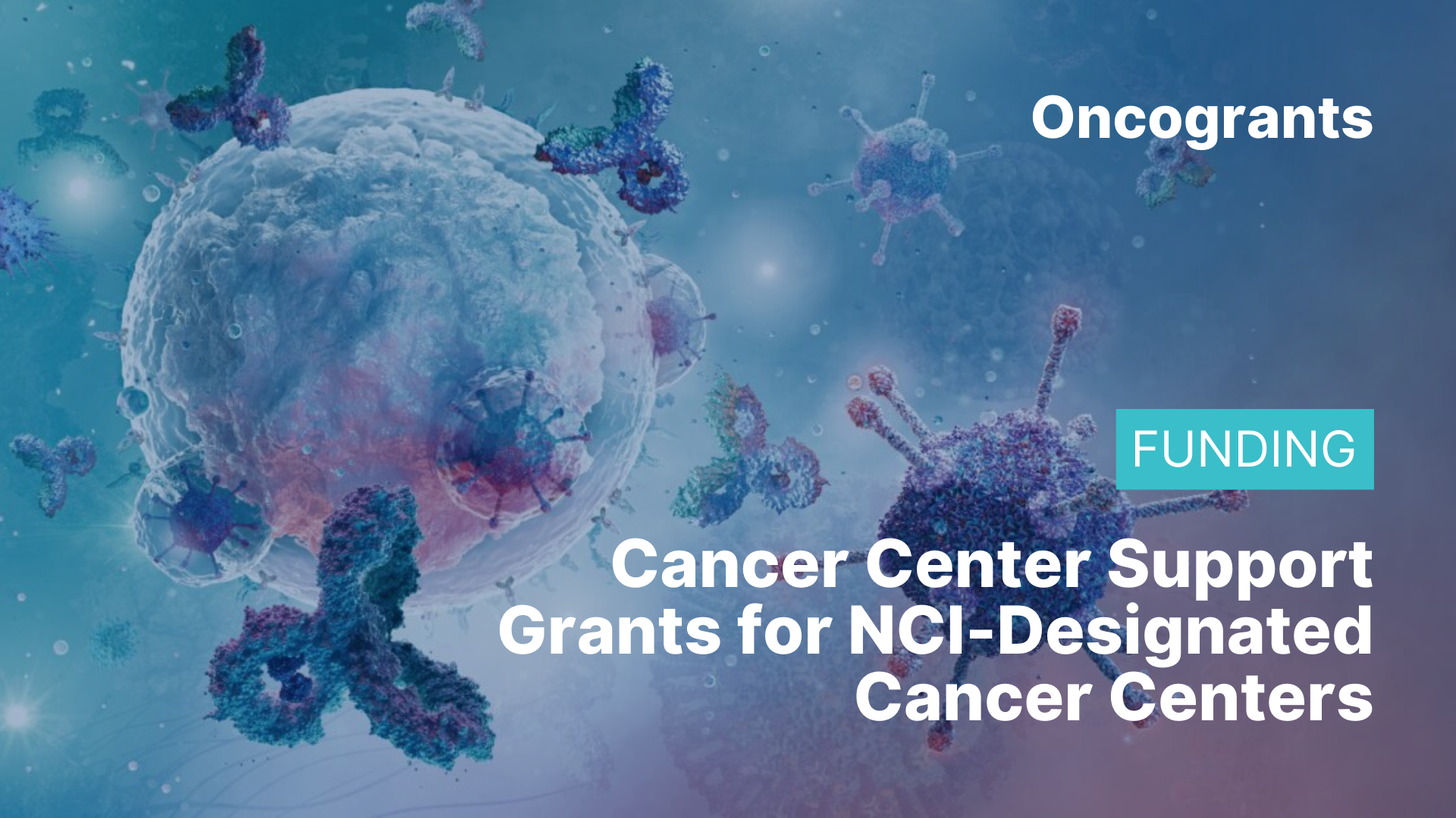Cancer Center Support Grants for NCI-Designated Cancer Centers