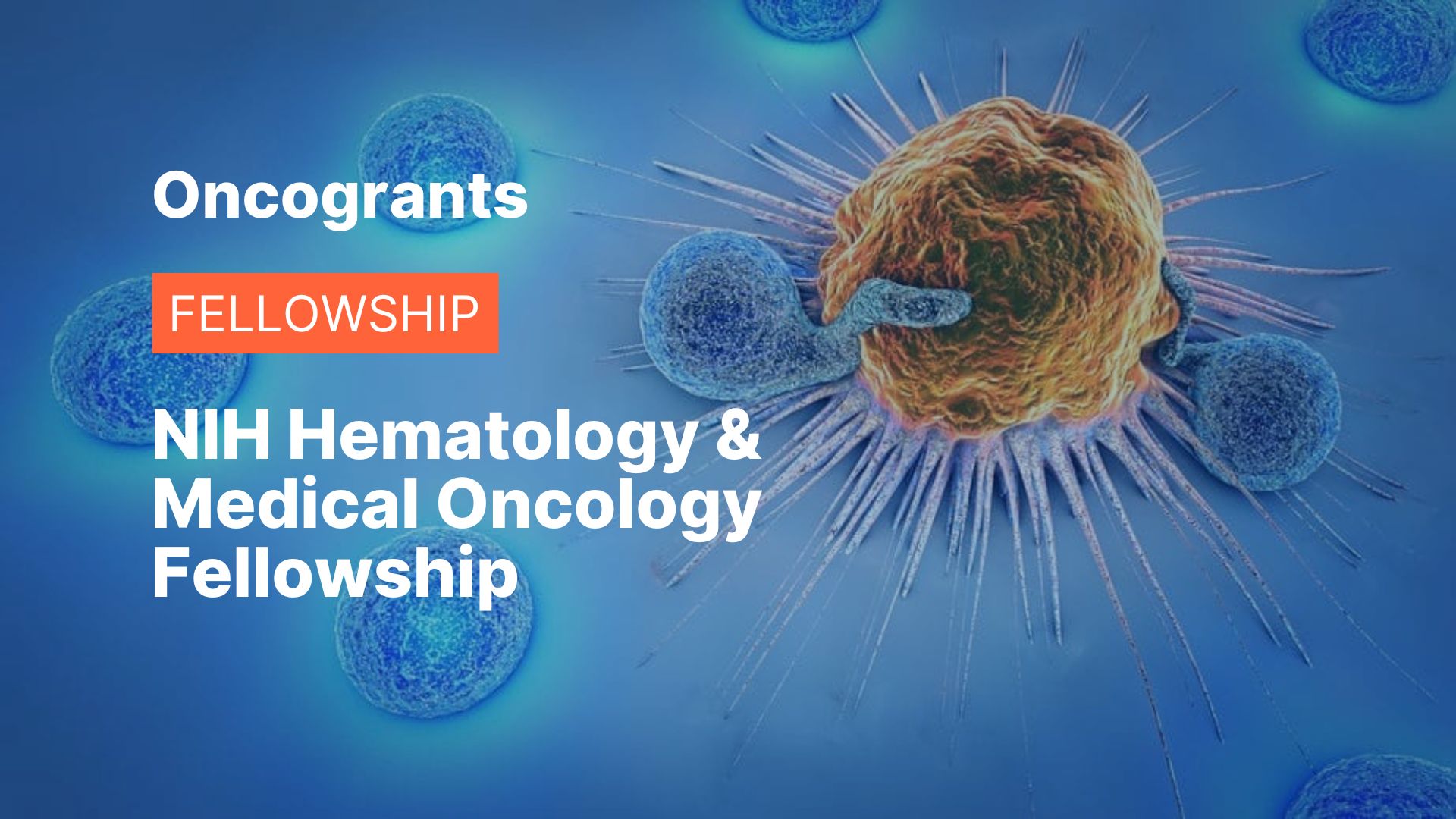 NIH Hematology & Medical Oncology Fellowship