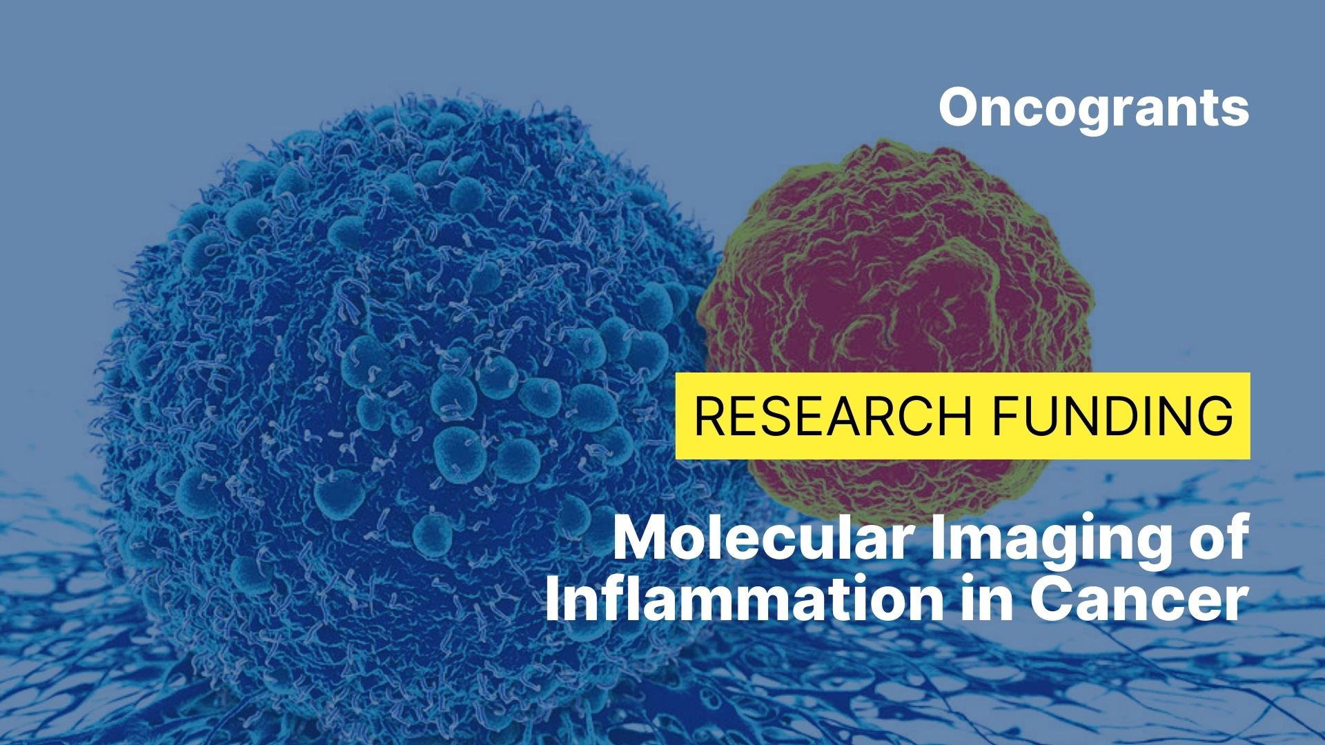 Molecular Imaging of Inflammation in Cancer