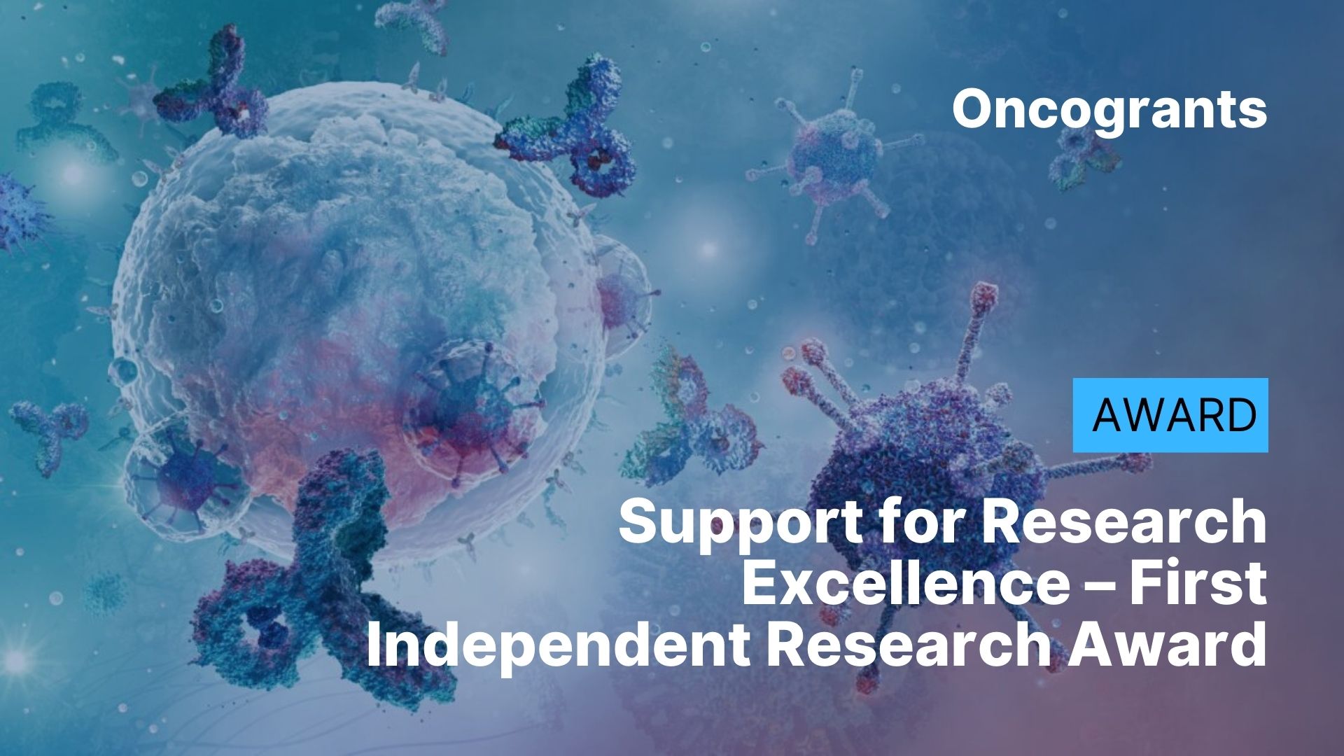 Support for Research Excellence – First Independent Research Award