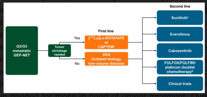 Thor Halfdanarson: Insights on Sequencing Systemic Therapies in G2/G3 GEPNETs