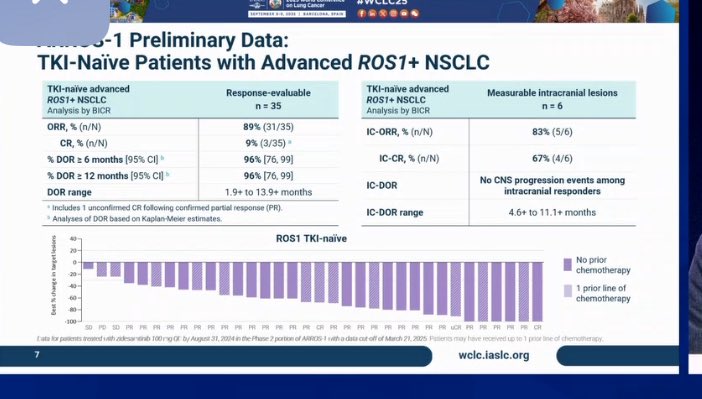 Highlights From IASLC WCLC 2025: 35 Posts Not to Miss