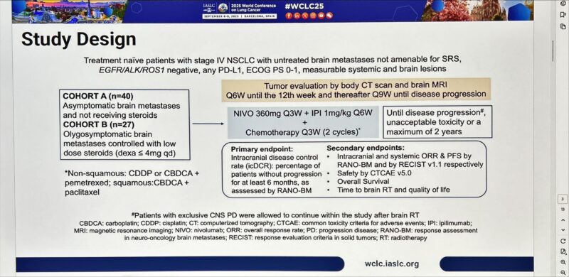 Jordi Remon: CT+IO Remains Standard of Care for NSCLC While New Agents are Awaited
