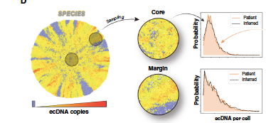 Charles Swanton: How ecDNA Composition Shapes Distinct Evolutionary Trajectories in Glioblastoma