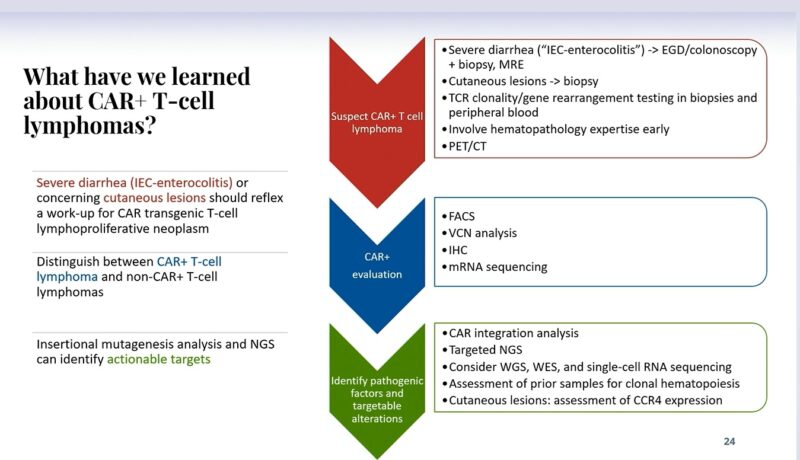 Highlights from the 22nd IMS Annual Meeting