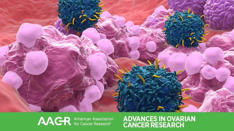 The AACR Special Conference on Advances in Ovarian Cancer Research Opens Today