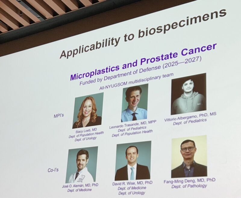 Stacy Loeb: What a Scary but Inspiring Day at the NYU Plastics Health Symposium!