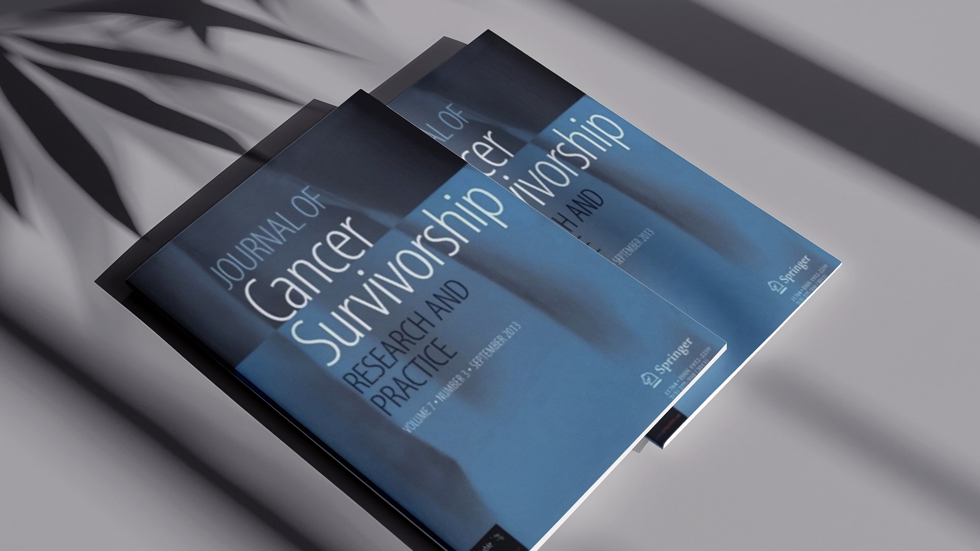 Mastectomy, Journal of Cancer Survivorship