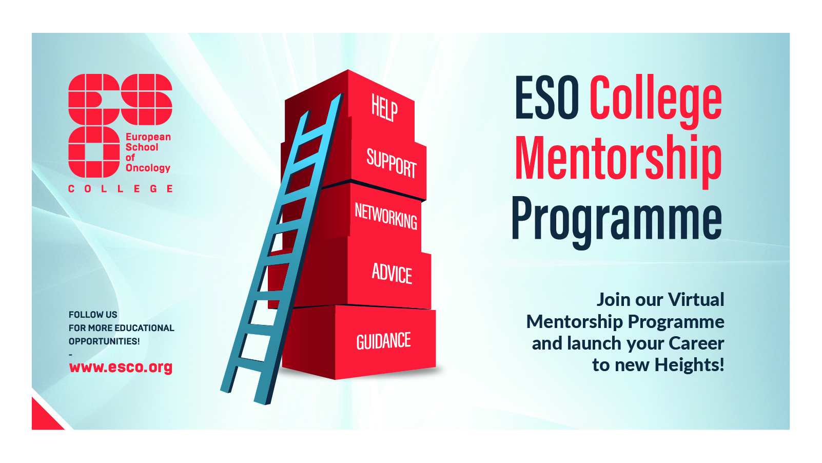 Mentorship Programme