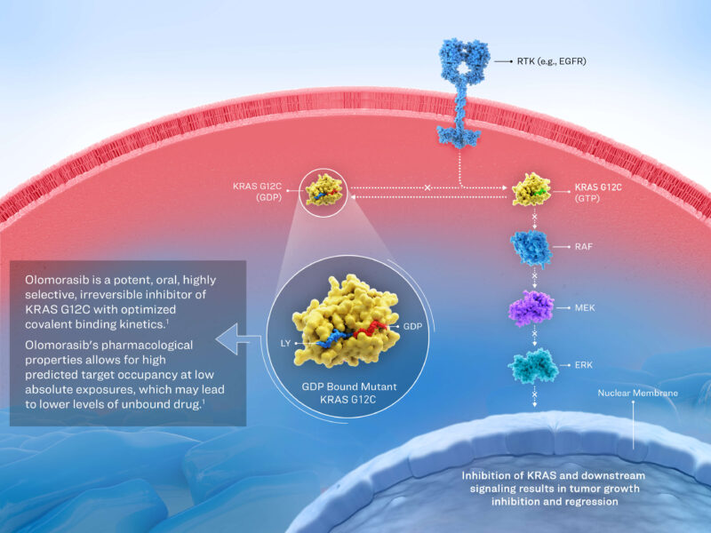 Olomorasib mechanism of action