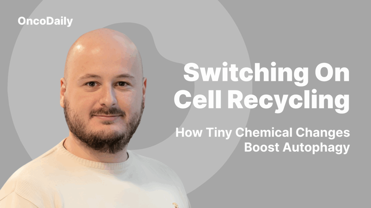 New Insights Into How Phosphorylation Fine-Tunes Autophagy – Danish Cancer Institute